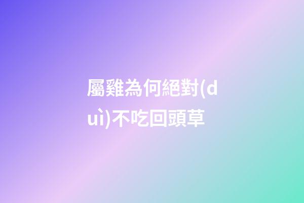 屬雞為何絕對(duì)不吃回頭草
