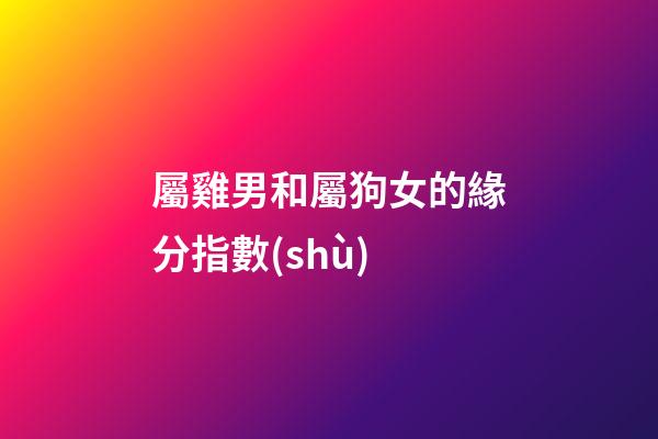 屬雞男和屬狗女的緣分指數(shù)