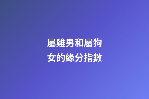 屬雞男和屬狗女的緣分指數
