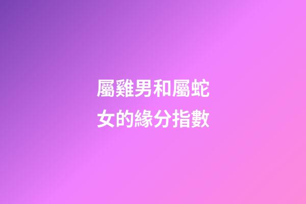 屬雞男和屬蛇女的緣分指數