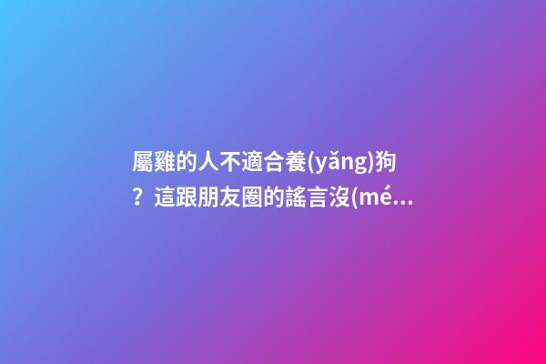 屬雞的人不適合養(yǎng)狗？這跟朋友圈的謠言沒(méi)區(qū)別！