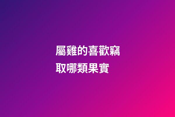 屬雞的喜歡竊取哪類果實