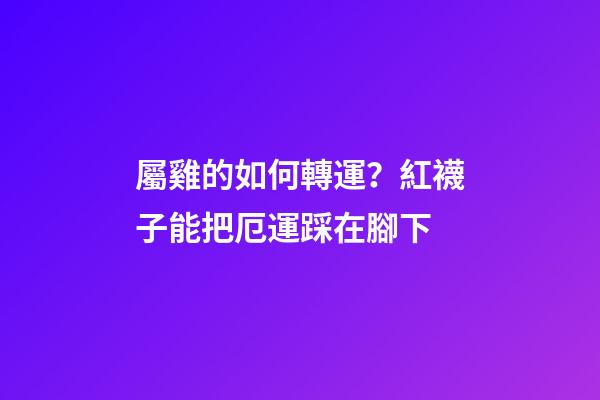 屬雞的如何轉運？紅襪子能把厄運踩在腳下