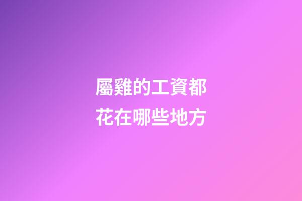 屬雞的工資都花在哪些地方