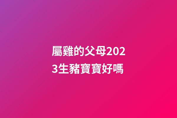 屬雞的父母2023生豬寶寶好嗎