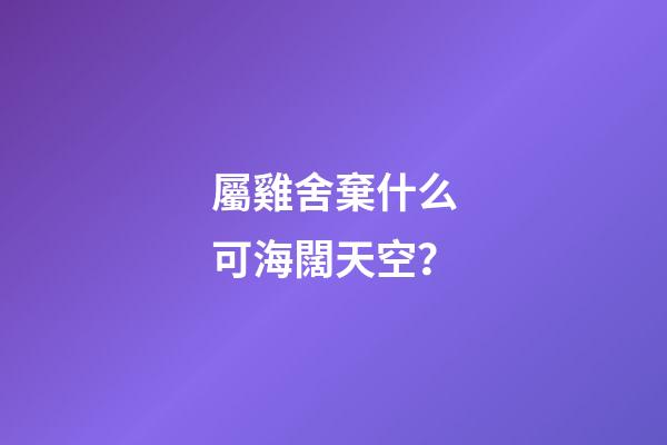 屬雞舍棄什么可海闊天空？
