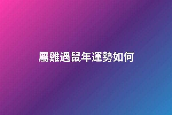 屬雞遇鼠年運勢如何