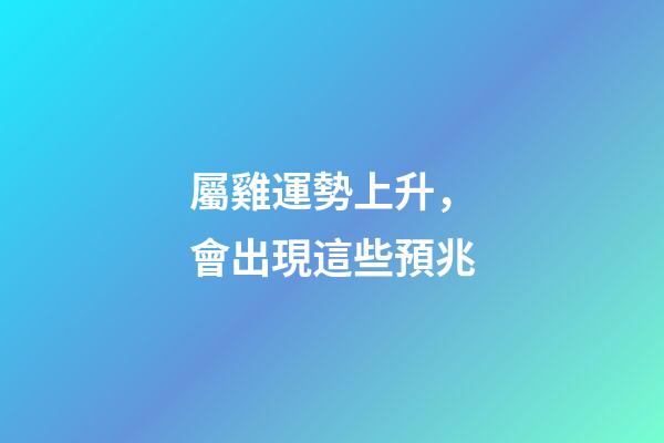 屬雞運勢上升，會出現這些預兆