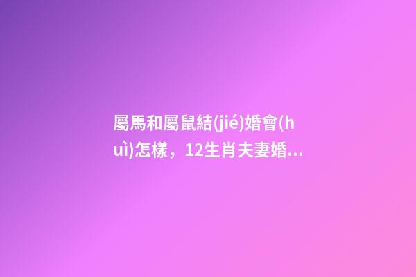 屬馬和屬鼠結(jié)婚會(huì)怎樣，12生肖夫妻婚配表-第1張-觀點(diǎn)-玄機(jī)派