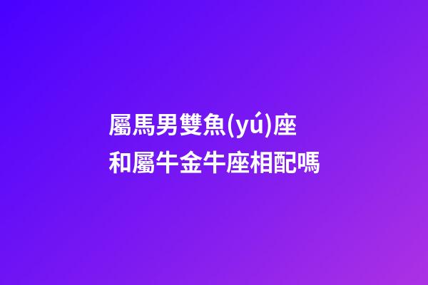 屬馬男雙魚(yú)座和屬牛金牛座相配嗎-第1張-星座運(yùn)勢(shì)-玄機(jī)派