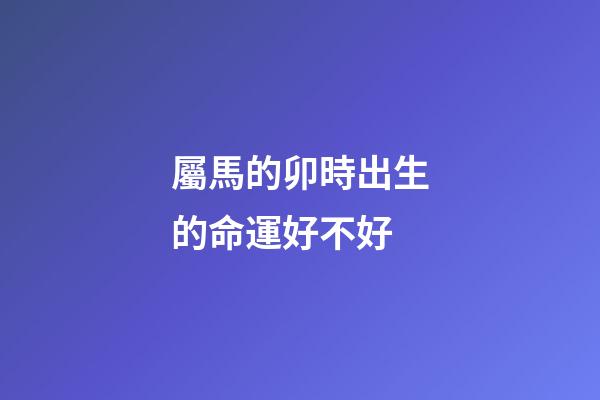 屬馬的卯時出生的命運好不好