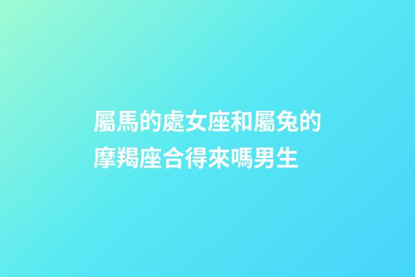 屬馬的處女座和屬兔的摩羯座合得來嗎男生-第1張-星座運勢-玄機(jī)派