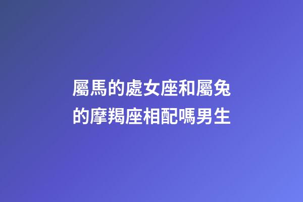 屬馬的處女座和屬兔的摩羯座相配嗎男生-第1張-星座運勢-玄機派