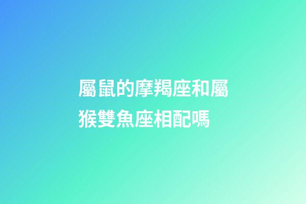 屬鼠的摩羯座和屬猴雙魚座相配嗎-第1張-星座運勢-玄機派