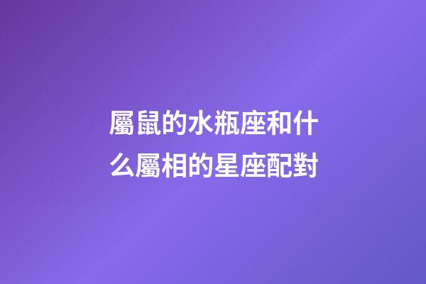 屬鼠的水瓶座和什么屬相的星座配對-第1張-星座運勢-玄機派