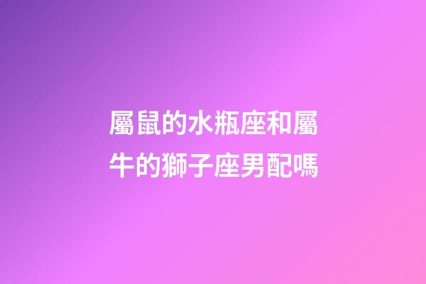 屬鼠的水瓶座和屬牛的獅子座男配嗎-第1張-星座運勢-玄機派