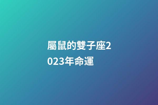 屬鼠的雙子座2023年命運-第1張-星座運勢-玄機派