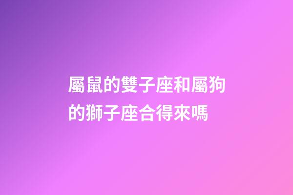 屬鼠的雙子座和屬狗的獅子座合得來嗎-第1張-星座運勢-玄機派
