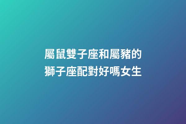 屬鼠雙子座和屬豬的獅子座配對好嗎女生-第1張-星座運勢-玄機派