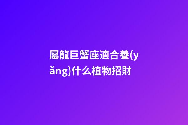 屬龍巨蟹座適合養(yǎng)什么植物招財-第1張-星座運勢-玄機派