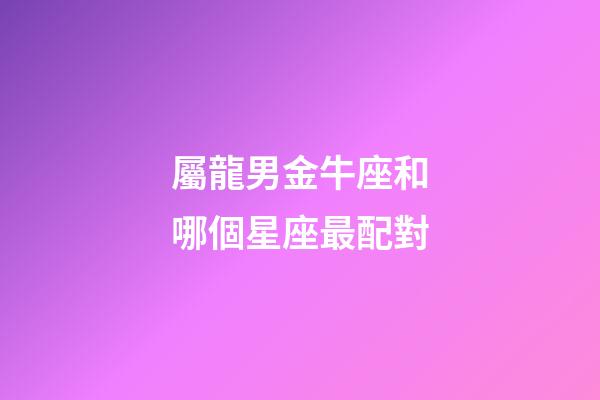 屬龍男金牛座和哪個星座最配對-第1張-星座運勢-玄機派