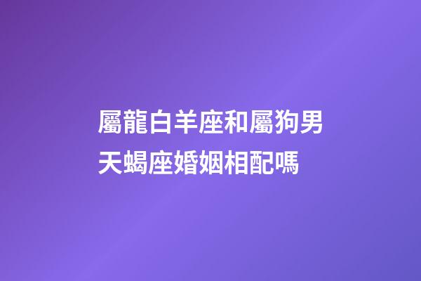 屬龍白羊座和屬狗男天蝎座婚姻相配嗎-第1張-星座運(yùn)勢(shì)-玄機(jī)派