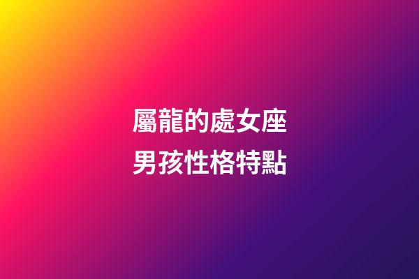 屬龍的處女座男孩性格特點-第1張-星座運勢-玄機派