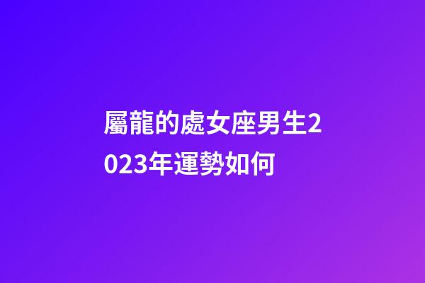 屬龍的處女座男生2023年運勢如何-第1張-星座運勢-玄機派