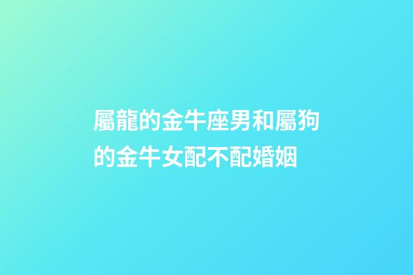 屬龍的金牛座男和屬狗的金牛女配不配婚姻-第1張-星座運勢-玄機派