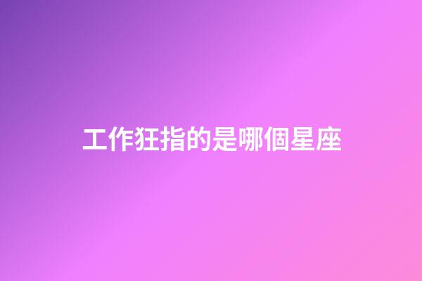 工作狂指的是哪個星座