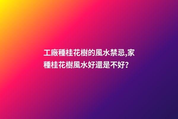 工廠種桂花樹的風水禁忌,家種桂花樹風水好還是不好？