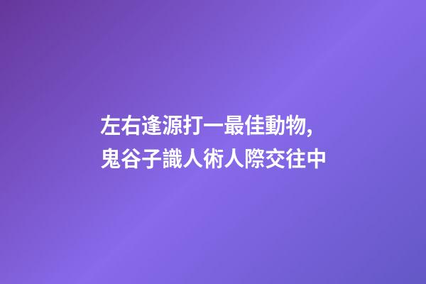 左右逢源打一最佳動物,鬼谷子識人術人際交往中-第1張-觀點-玄機派