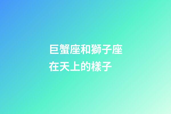 巨蟹座和獅子座在天上的樣子-第1張-星座運勢-玄機派