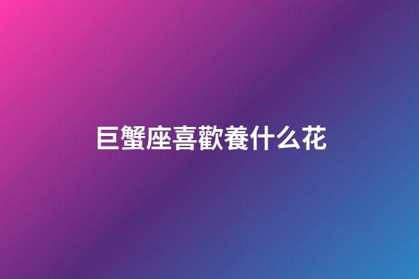 巨蟹座喜歡養什么花-第1張-星座運勢-玄機派