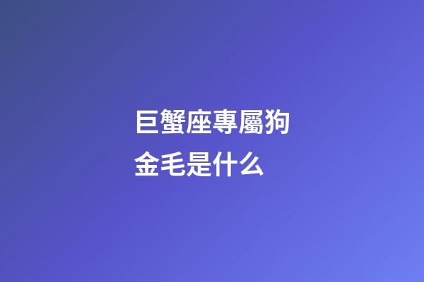 巨蟹座專屬狗金毛是什么-第1張-星座運勢-玄機派