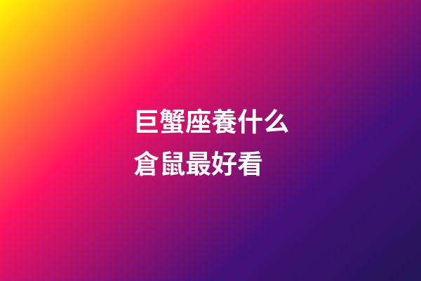 巨蟹座養什么倉鼠最好看