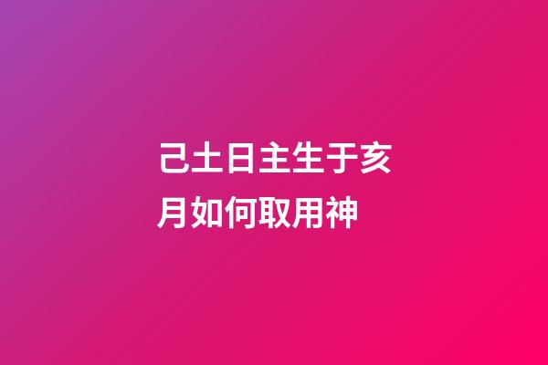 己土日主生于亥月如何取用神?