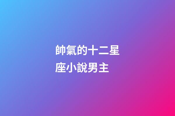帥氣的十二星座小說男主