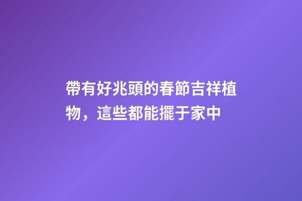 帶有好兆頭的春節吉祥植物，這些都能擺于家中