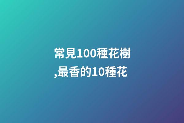 常見100種花樹,最香的10種花-第1張-觀點-玄機派
