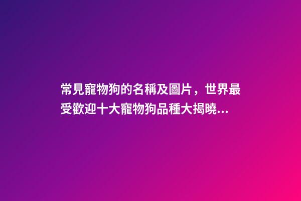 常見寵物狗的名稱及圖片，世界最受歡迎十大寵物狗品種大揭曉!-第1張-觀點-玄機派