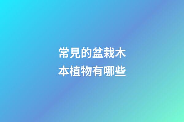 常見的盆栽木本植物有哪些