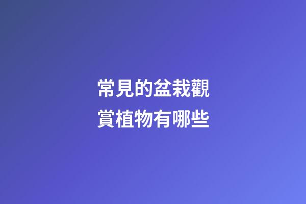 常見的盆栽觀賞植物有哪些