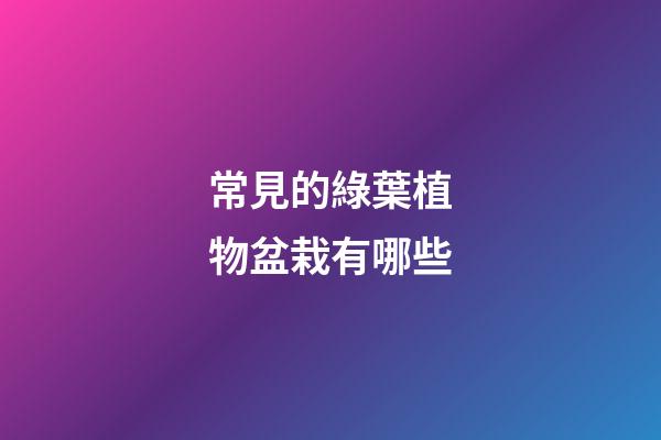 常見的綠葉植物盆栽有哪些