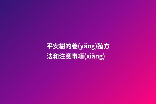 平安樹的養(yǎng)殖方法和注意事項(xiàng)