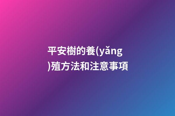 平安樹的養(yǎng)殖方法和注意事項