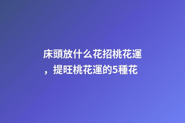 床頭放什么花招桃花運，提旺桃花運的5種花