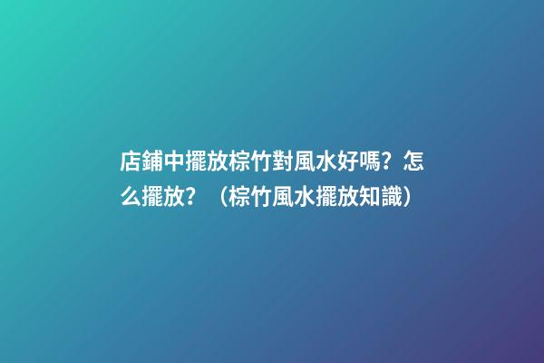 店鋪中擺放棕竹對風水好嗎？怎么擺放？（棕竹風水擺放知識）