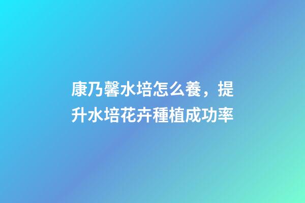 康乃馨水培怎么養，提升水培花卉種植成功率-第1張-觀點-玄機派