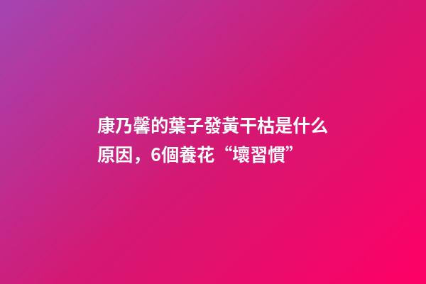 康乃馨的葉子發黃干枯是什么原因，6個養花“壞習慣”-第1張-觀點-玄機派